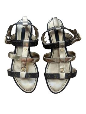 Louis Vuitton Metallic Gold and Monogram Brown T-Strap Sandals